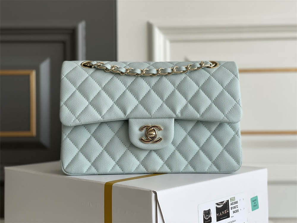 Chanel classic flap 23cm 2025 new 